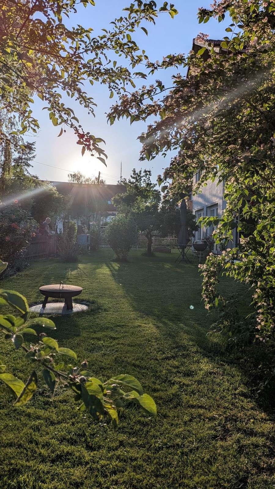 Unser Garten im Abendlicht